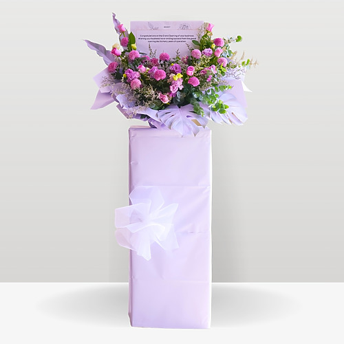 Prosper in Plum 1