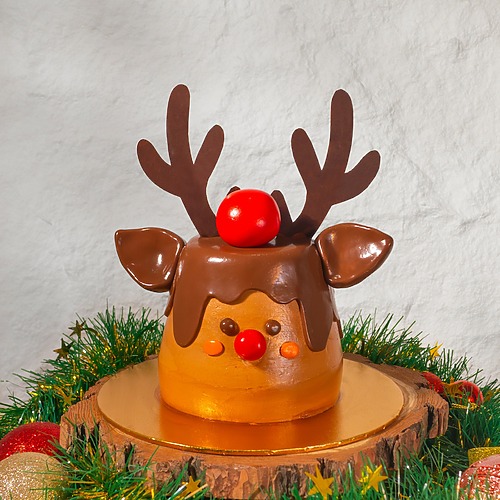 Rudolph designer cake y25 1 1