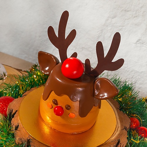 Rudolph designer cake y25 2 1