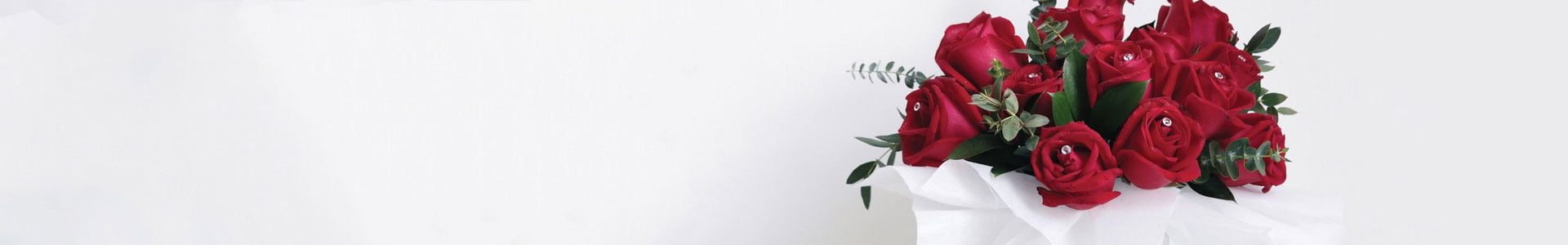 Flower-Box-Page-Header-v2 Flower-Box-Page-Header-v2