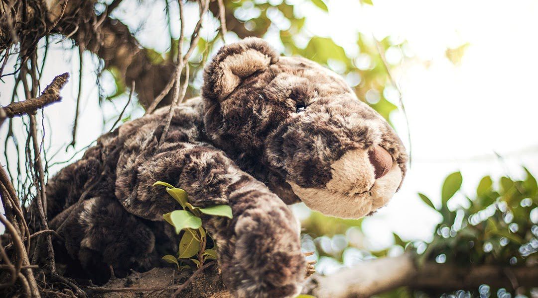 Jellycat-Header-Mobile.jpg Jellycat-Header-Mobile.jpg