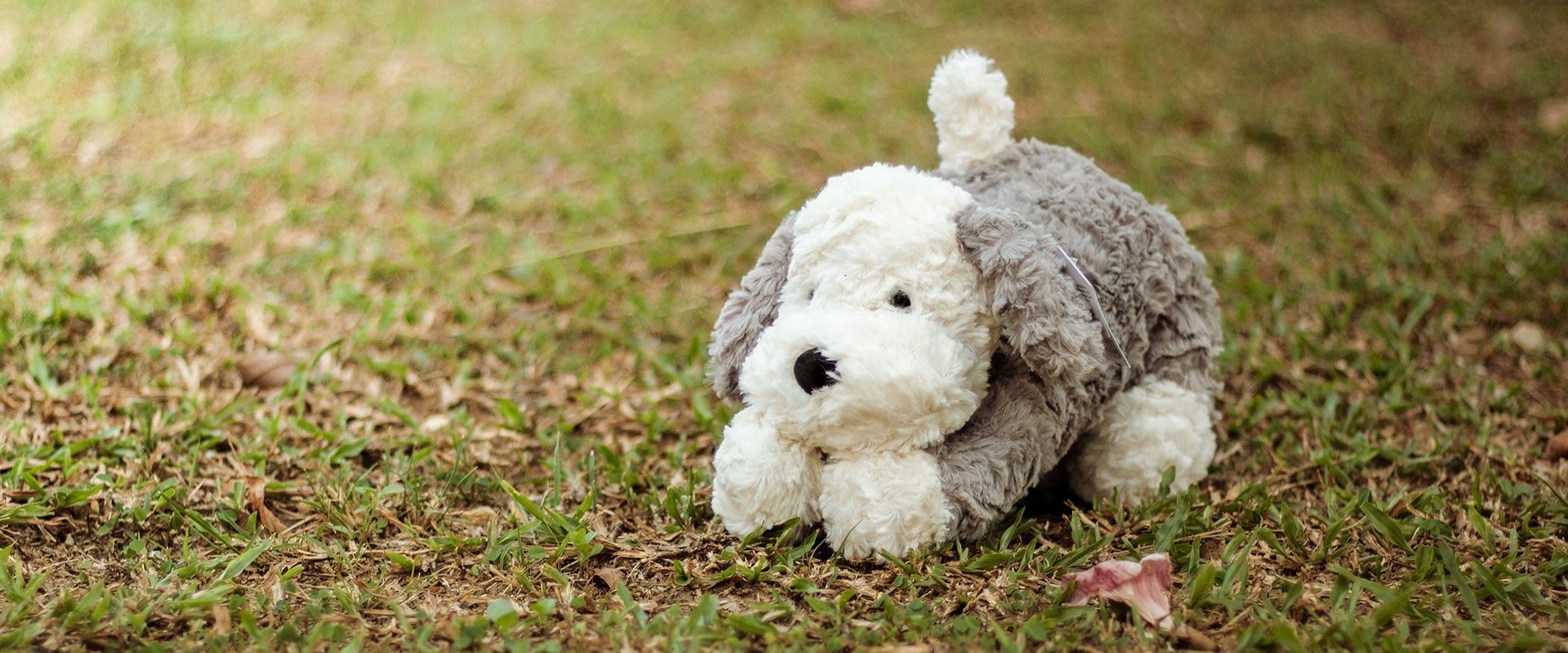 Jellycat-collection-header.jpg Jellycat-collection-header.jpg